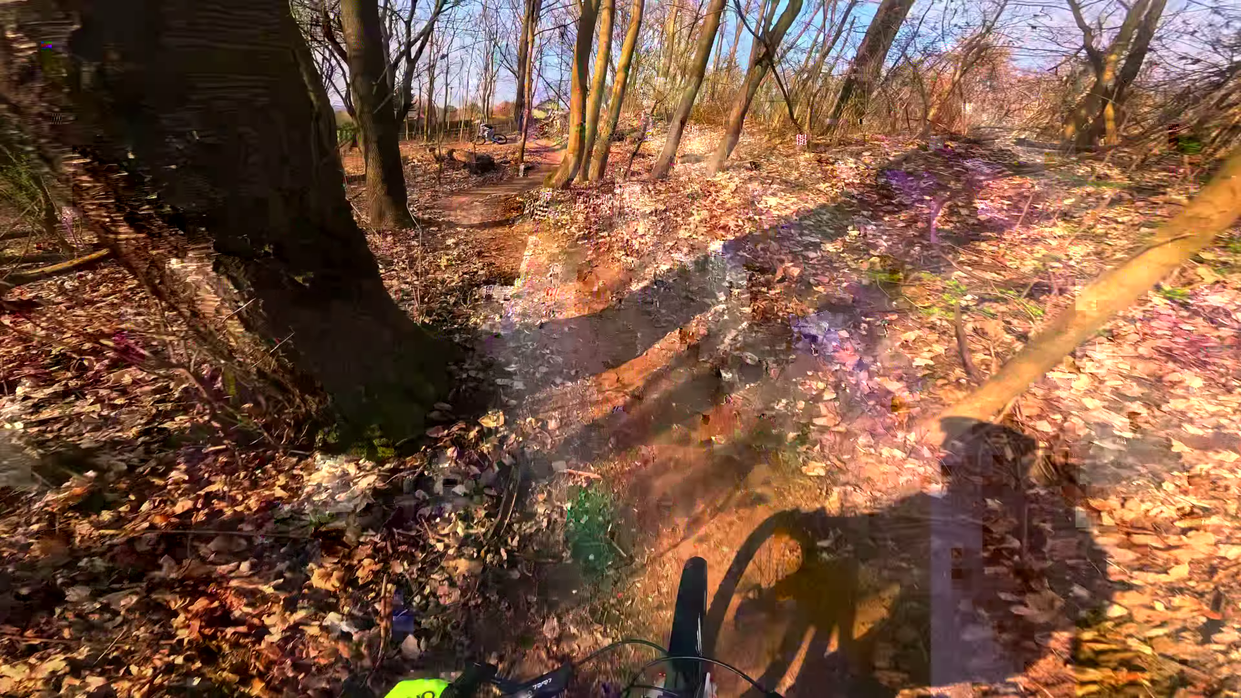 Mistrzeje – pierwszy wiosenny zryw